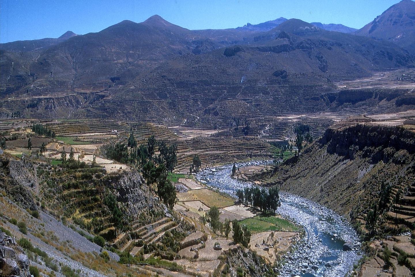 Stone farming terraces above the Colca River, with the Andes behind