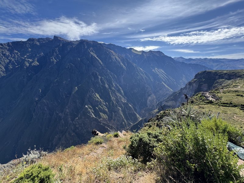 Colca Canyon seen from the Cruz del Condor viewpoint