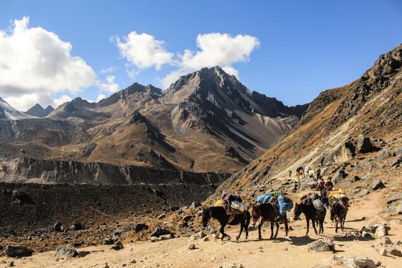 Lares trek Pack horses on a dirt trail below a rocky peak on the Lares trek
