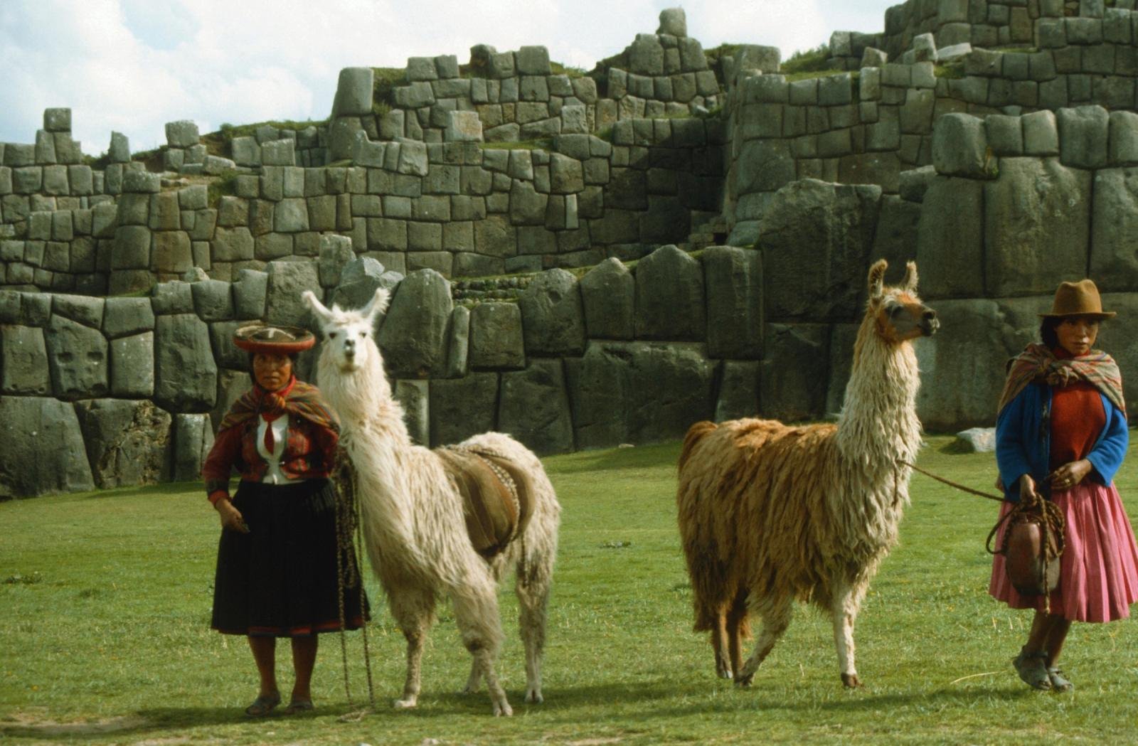 Llamas at Sacsayhuaman Two llamas with Quechua women in front of the stone walls of Sacsayhuamán