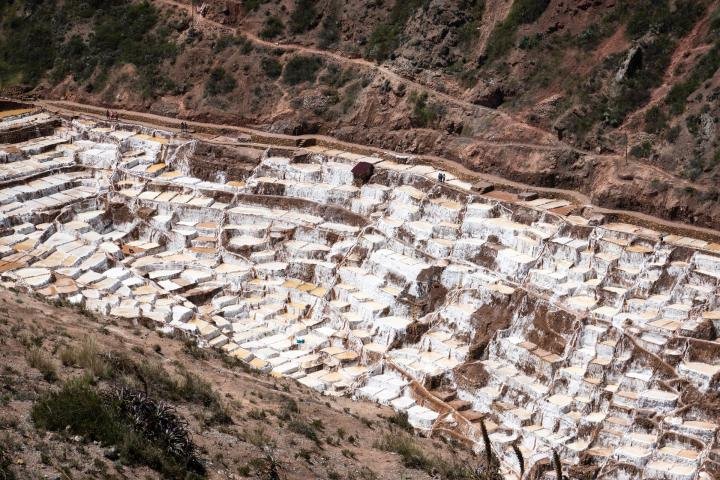 Hundreds of white salt pans of Maras stepping down a brown hillside