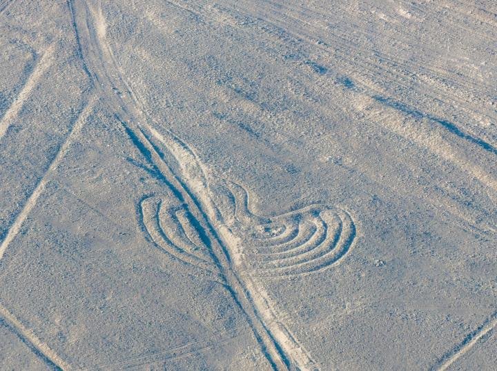 Curved geoglyph crossed by straight lines on the Nazca plain seen from the air