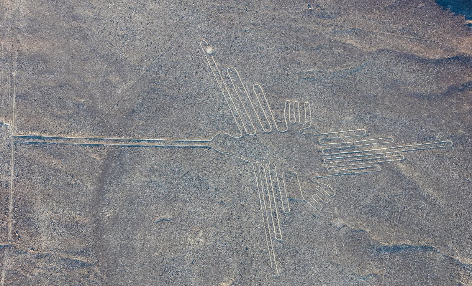 The hummingbird geoglyph of the Nazca Lines seen from a small plane