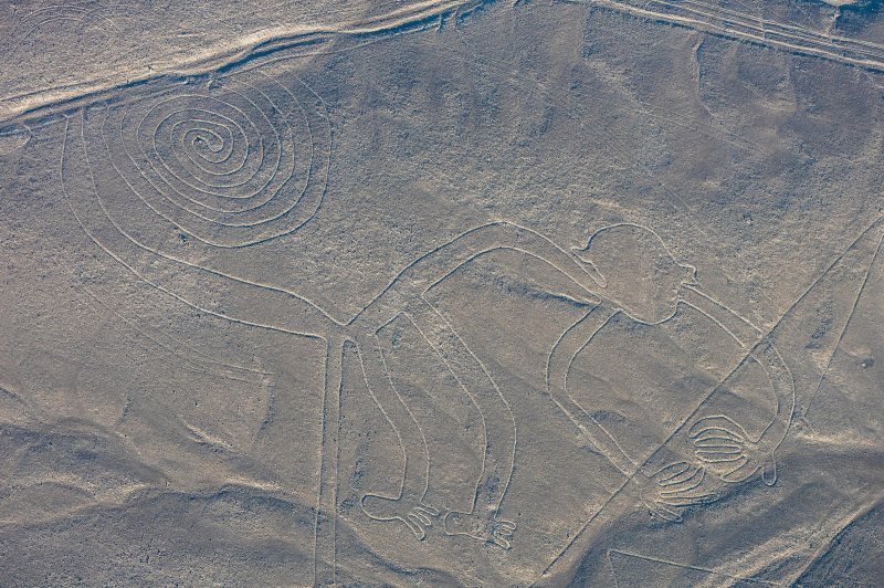 The monkey figure of the Nazca Lines with its spiral tail, seen from the air