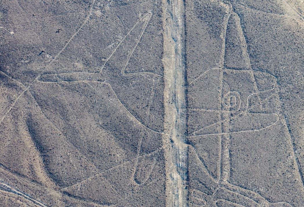 The whale figure of the Nazca Lines crossed by straight desert lines, seen from the air