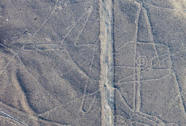 The whale figure of the Nazca Lines crossed by straight desert lines, seen from the air